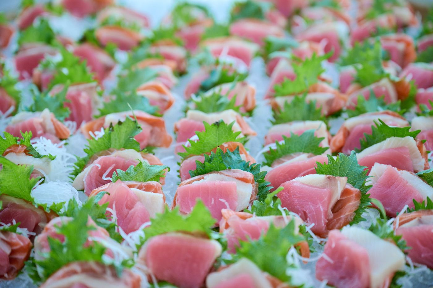 Rows of crudo bites on shiso
